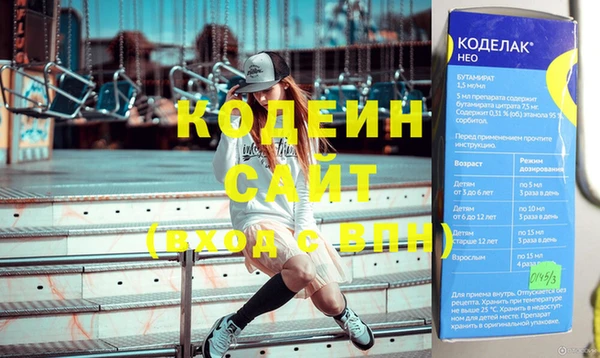 крисы Елабуга