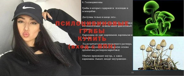 прущая мука Няндома