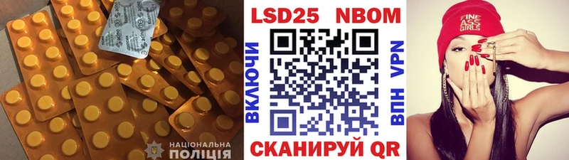 как найти наркотики  Новокубанск  ЛСД экстази кислота 