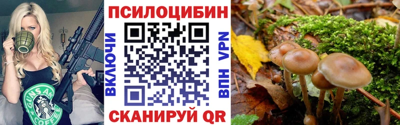 shop как зайти  где можно купить наркотик  Новокубанск  Галлюциногенные грибы GOLDEN TEACHER 